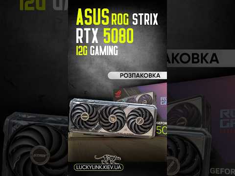 ASUS Prime GeForce RTX 5070 OC Edition 12 GB - фото 1 - id-p3206476921