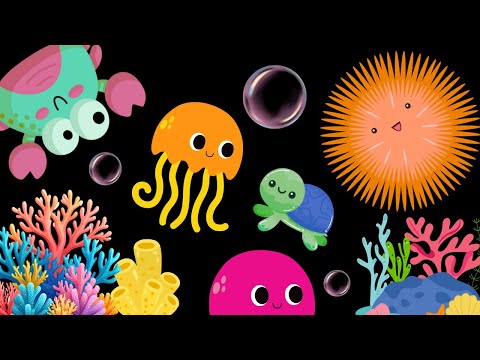 Baby Sensory Video - Visual Stimulation for Newborn - Tummy Time - Sensory Videos for Babies #baby