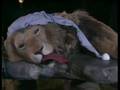 Outtakes Narnia BBC