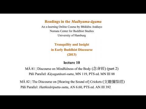 Bhikkhu Anālayo | Readings in the Madhyama-āgama | MĀ 81 (part 2) & MĀ 82 | 2013