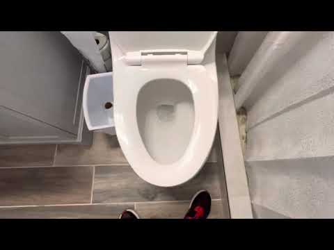 137. Newer GB One Piece Dual Flush Toliet