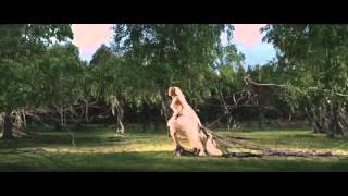 The Stars Just Blink for Us