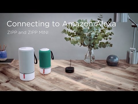 How to connect ZIPP and ZIPP MINI to Amazon Echo Dot