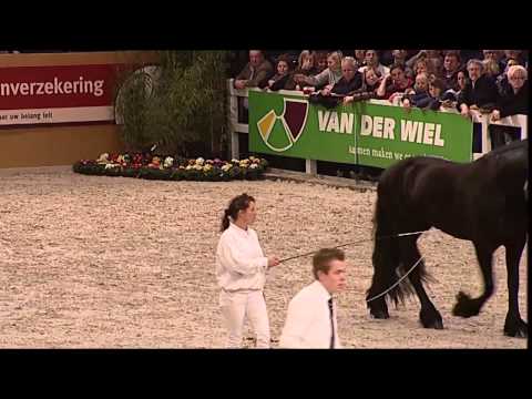 KFPS Hengstenkeuring 2013: kampioenskeuring algemeen