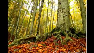 AUTUNNO CALABRESE by Concetta Gigliotti and giusasco - music by Marcello