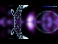 Mario M feat. Epp Kõiv - Neon Phoenix (HD Video ...