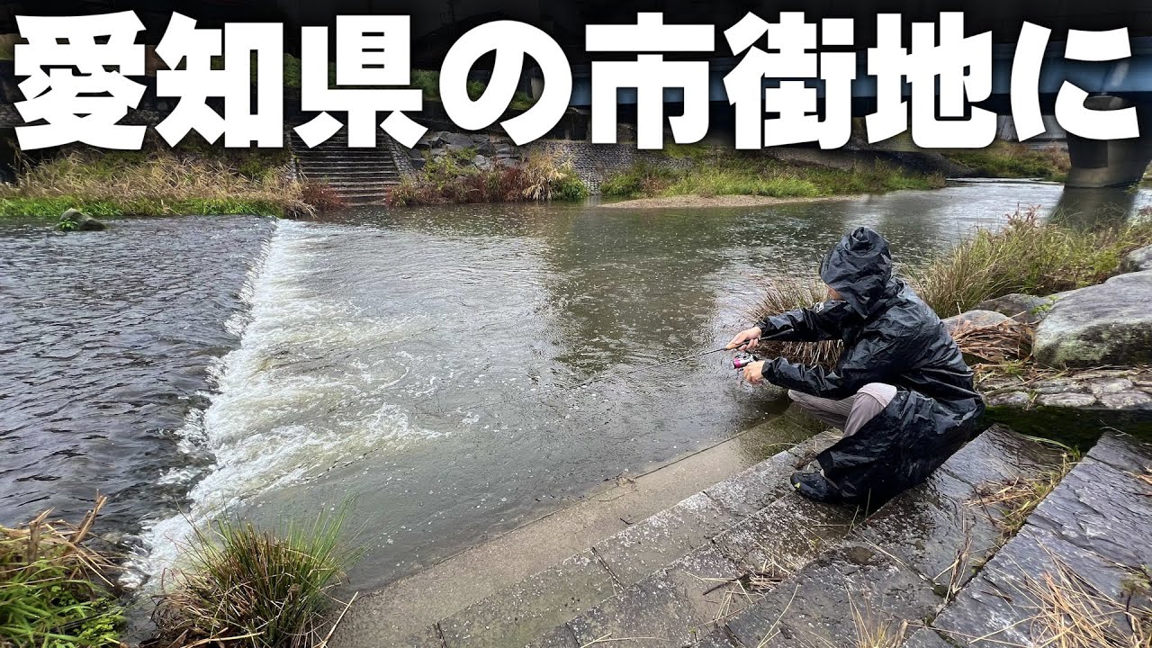 【知ってた？】問題のあの魚が、こんなところまで。