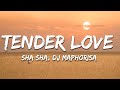 Sha Sha DJ Maphorisa Kabza De Small Tender Love Lyrics