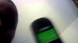 Cat real number by boy