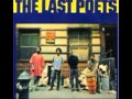 Before the White Man Came - Last Poets