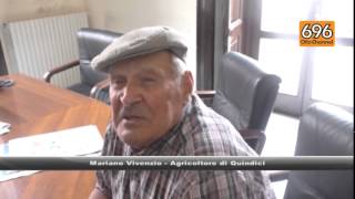 quindici-aggredito-dai-cinghiali-salvato-dal-suo-cane