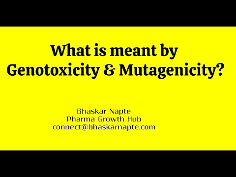 What is meant by Genotoxicity & Mutagenicity?