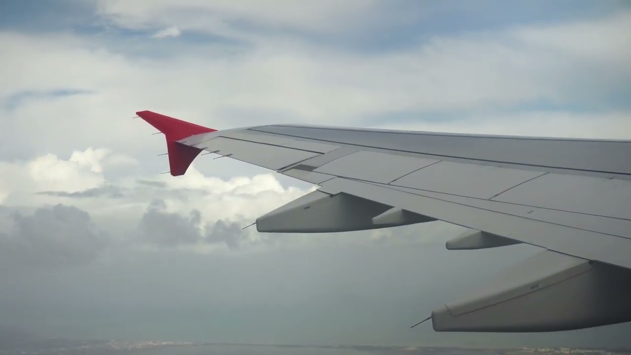 鳥のさえずりとピアノの音色で、一日の疲れを癒しましょう。