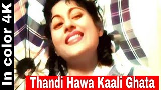 Thandi Hawa Kali Ghata Lyrics - Mr And Mrs 55