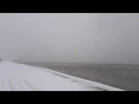 Maarja-Liis Ilus & Ivo Linna "Kaelakee hääl"