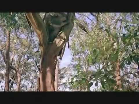 Client Liaison - End of the Earth (Official Video)