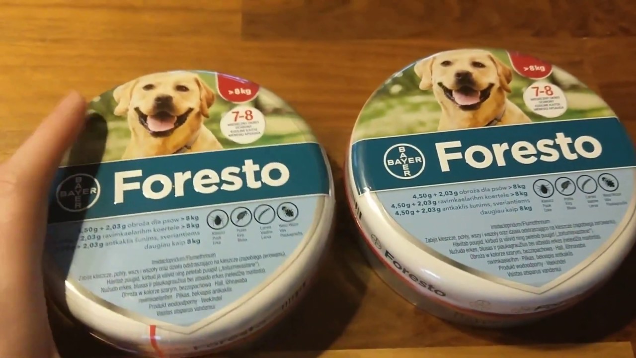 Watch KLESZCZOM MÓWIMY STOP!!! now KLESZCZOM MÓWIMY STOP!!!