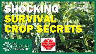 Top 10 Survival Crops and Secret Foods Hidden in Your Garden #30DaysofPreparedness2025