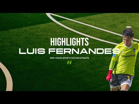 Highlights video
