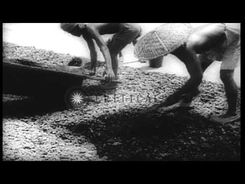 Newsreel 'Allied forces in action on India-Burma fronts! HD Stock Footage