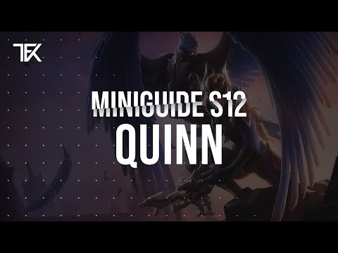 Quinn Miniguide S12 german | TFK