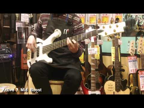 【池部楽器店】 MD M.M Produce MDB-Elite/5-A (PW) 試奏動画