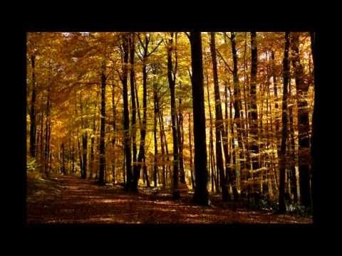 Smetana: Piano Trio g-minor op.15 (HD)