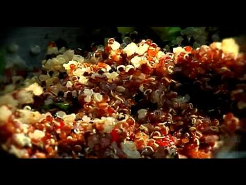 download lagu mp3 mp4 Quinoa 3 Colores, download lagu Quinoa 3 Colores gratis, unduh video klip Quinoa 3 Colores