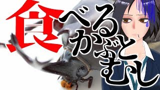 【カブトムシ実食配信】カブトムシにあう調味料ってなに？ストロングゼロ？