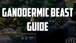 Runescape 3 - Ganodermic Beast guide | Great money