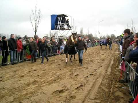 Metworst Boxmeer 2009 halve finale