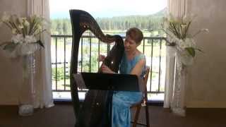 Fields of Gold on the Celtic Harp by Anne Roos