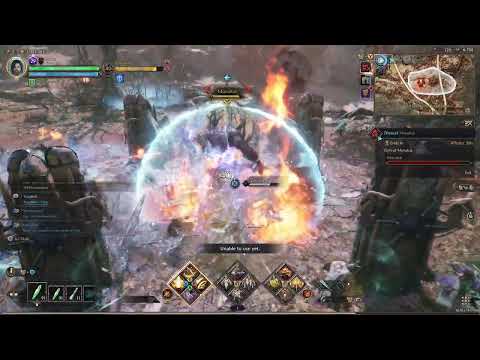 Master of Carmine Forest Exploration Codex Guide for Throne and Liberty