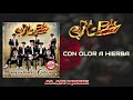 K - Paz De La Sierra - Con olor a hierba ( Letra )