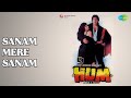 Sanam Mere Sanam Hum Alka Yagnik Amit Kumar Songs Govinda Shilpa Shirodkar