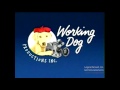 Working Dog Production Court TV 2003