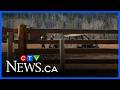 Human remains found at grass fire