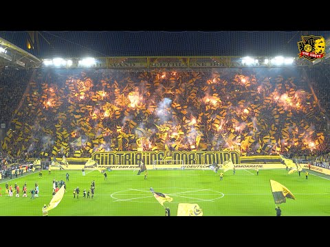 Saisonrückblick 2024/2025