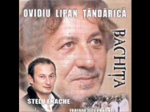 Ovidiu Lipan Tandarica & Stelu Enache - Anil'i  (Bachita)