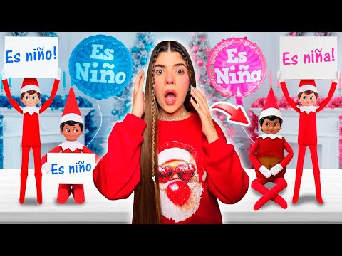 My elves revealed the gender of Lolita's baby elf! 😱🩷🩵 | Ani Cat 😻