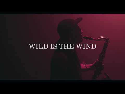 Lucia Cadotsch Speak Low "Wild is the wind" (Official Music Video 4K)
