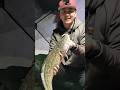 Video Thumbnail for Ice Camping - Huge Burbots (Poor Man's Lobster) #icefishing #wintercamping #burbot