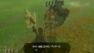 【実況】方向音痴が駆ける！【ゼルダの伝説ブレスオブザワイルド】＃28