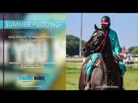 HAPPY BIRTHDAY SUMMER PUDDING !