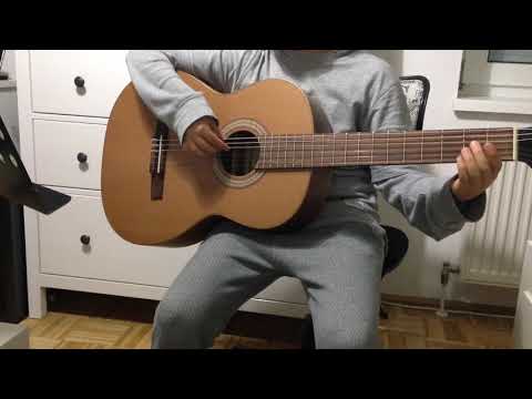 Die Tiroler sind lustig - Gitarre