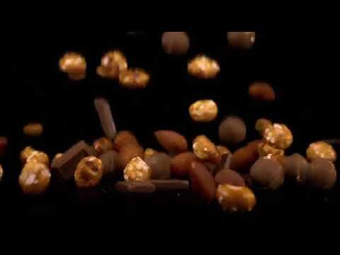 REESE’S Snack Mix   Snack Brothers