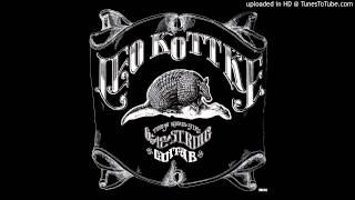 Leo Kottke - The Driving Of The Year Nail