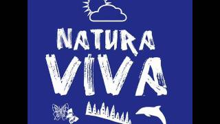 Per Hammar - Bang (Original Mix)