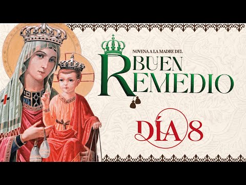 Novena to Our Lady of Good Remedy Day 8 with Father José Bernardo