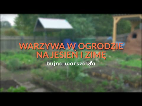 , title : 'Bujna Warszawa: warzywa w ogrodzie na jesień i zimę'